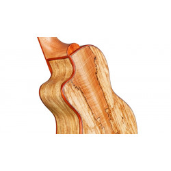 Cordoba 24T-CE Ténor Electro