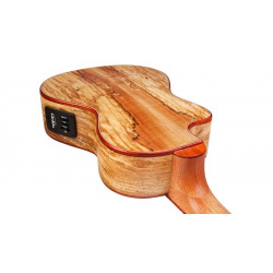 Cordoba 24T-CE Ténor Electro