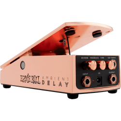 ERNIE BALL - Ambient Delay