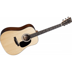 C. F. Martin - D-12E Serie Road