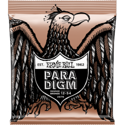 ERNIE BALL - 2076 Paradigm Light
