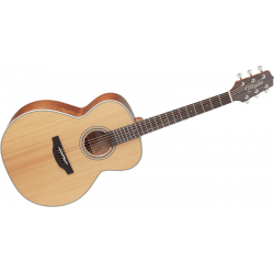 Takamine GN20NS