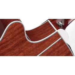 Takamine - EF261S-AN Legacy