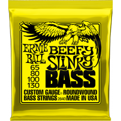 ERNIE BALL - 2840