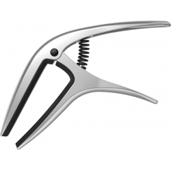 ERNIE BALL - 9601 Argent