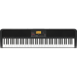 Korg - XE20-SP 