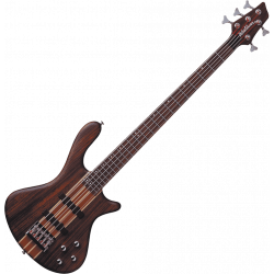 Washburn T25NM 5 Cordes 