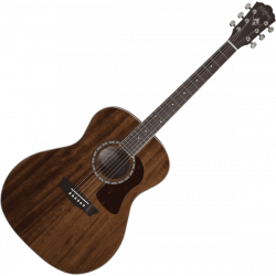 Washburn - HG12S Acajou