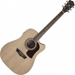 Washburn - HD10SCE Naturel