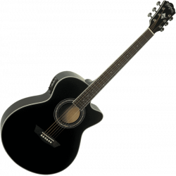 Washburn - EA12B Noir