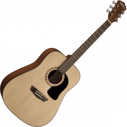 Washburn - AD5 Naturel