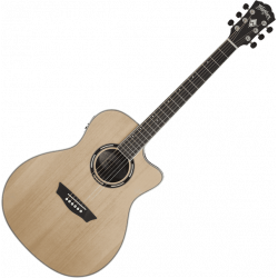 Washburn - AG70CE Naturel