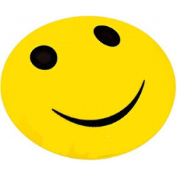  Meinl shaker plastique abs laughin