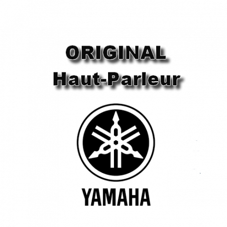 Yamaha haut-parleur HS8S