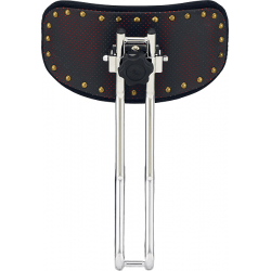 Pearl - DTBR-1535 Dossier