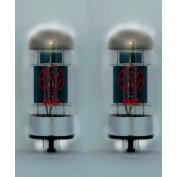 Lampe JJ ELECTRONIC 6550 duet appairé