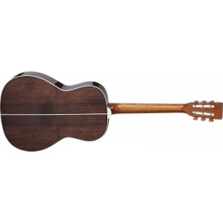 Takamine GY51ENAT Série G