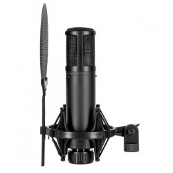 sE Electronics SE2300