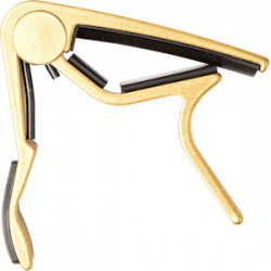 Dunlop 83CG Capo Folk