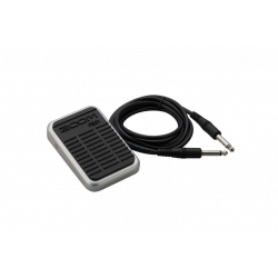 Zoom FS-01 Contrôleur au pied