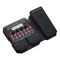 Zoom B1XFOUR Multi-effets Acoustique