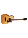 CORT GOLD A6 NATUREL BRILLANT