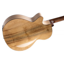 CORT SFX MYRTLEWOOD BRUN BRILL.