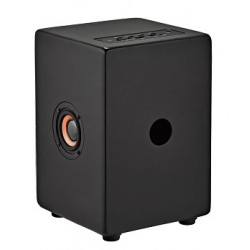 MINI ENCEINTE CAJON PRE-AMPLIFIE MEINL