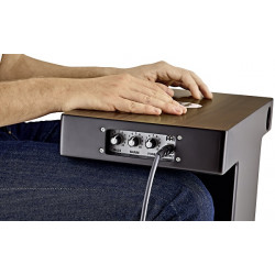 SLAPTOP CAJON MEINL NATUREL FACADE NOYER