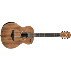 WASHBURN - WCGM55K Comfort 