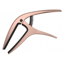 ERNIE BALL - 9605 Or Rose Satin