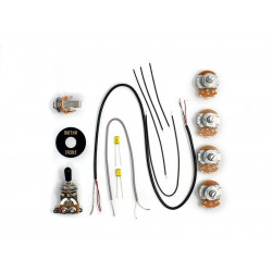 Kit Electronique Type LP® Noir