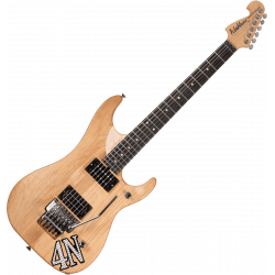 Washburn 4N Signature