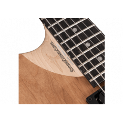 Washburn 4N Signature