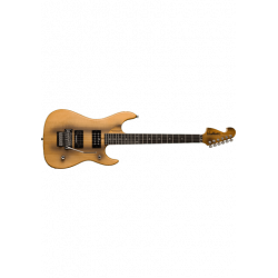 Washburn N24VINTAGE Signature