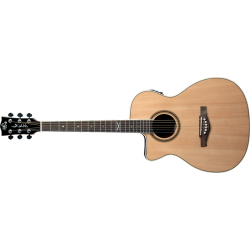 EKO - NXT Auditorium C/E Natural Ga