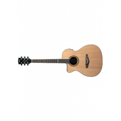 EKO - NXT Auditorium C/E Gaucher