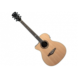 EKO - NXT Auditorium C/E Gaucher