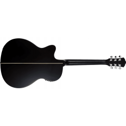 WASHBURN - DEEPFOREST Ebony matte