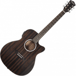 WASHBURN - DEEPFOREST Ebony matte