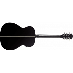 WASHBURN - DEEPFOREST Ebony matte