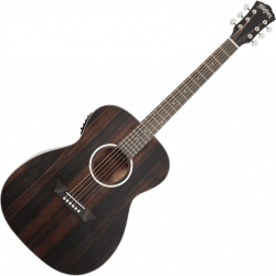 WASHBURN - DEEPFOREST Ebony matte