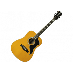 EKO - Ranger VR6-EQ Vintage Naturel