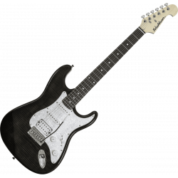 Washburn Sonomaster Noir
