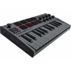Akai Pro - MPKMINI3GREY gris