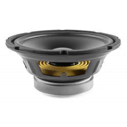 Haut Parleur 10" 125W Hifi
