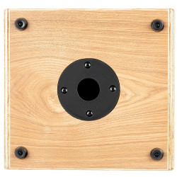 AMPLI ORTEGA 100W, 2 CANAUX FRENE