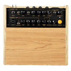 AMPLI ORTEGA 100W, 2 CANAUX FRENE