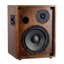 AMPLI ORTEGA 100W, 2 CANAUX NOYER