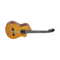 GUITARE ESTEVE 4STCE FISHMAN SILLET 52mm